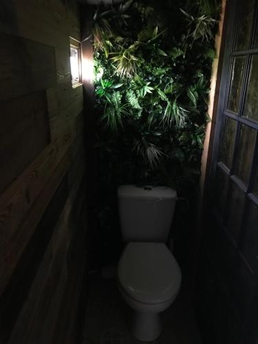 um WC numa casa de banho escura com plantas na parede em La cabane romantique de Milly em Milly-sur-Thérain