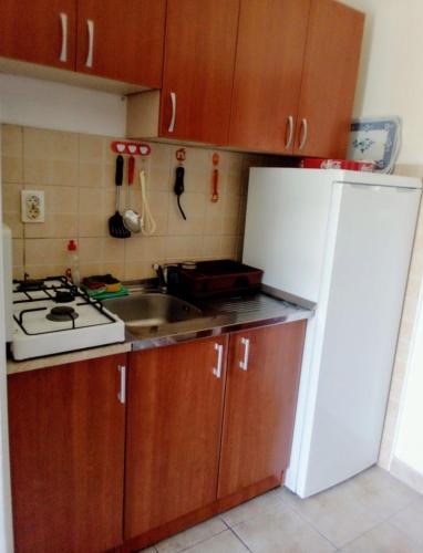a kitchen with a white refrigerator and a sink at Apartment Željka, Igalo - Herceg Novi in Igalo