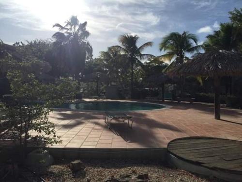 una piscina con panchina in un cortile con palme di Caribbean Court E1 a Kralendijk