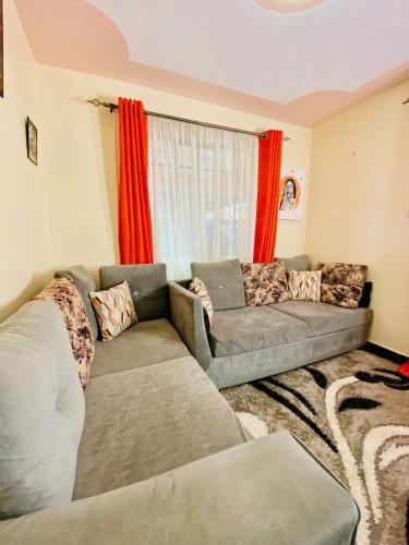 salon z kanapą i oknem w obiekcie Safari Stays Staycation Homes w mieście Ngong
