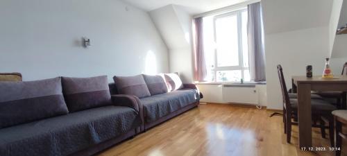 a living room with a couch and a table at Apartman Studio Lux u Kraljevim Čardacima in Kopaonik