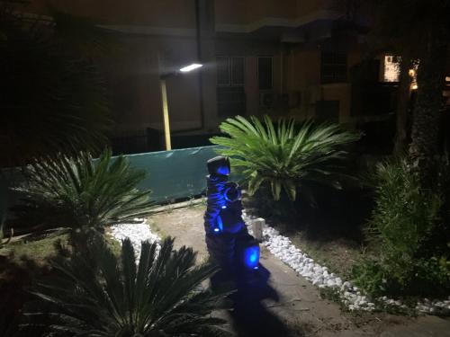 a blue bottle in a garden at night at Il Giardino Di Adriana in Terracina