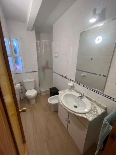a bathroom with a sink and a toilet and a mirror at Apartamentos Rincón del Roldán - La Rinconada in San Jose de la Rinconada