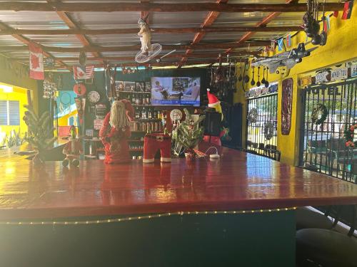 a woman standing at the counter of a bar at Coco Hotel and Hostel in Sosúa