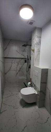 Bilik mandi di A Frame Pietrele Șoimului