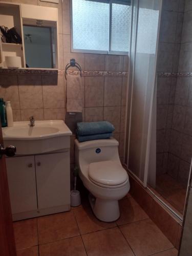 a bathroom with a toilet and a sink and a shower at Casa Foresta Curicó in Curicó