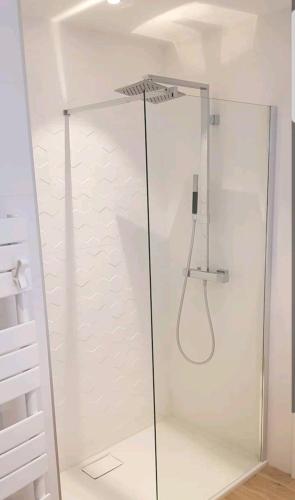une douche avec une porte vitrée dans une pièce dans l'établissement Maison Passive avec piscine proche Colmar, à Logelheim