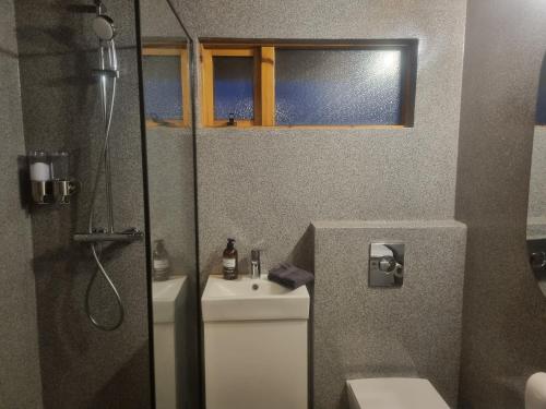 a bathroom with a shower and a toilet and a sink at Flaga 2 Guesthouse in Hrífunes 