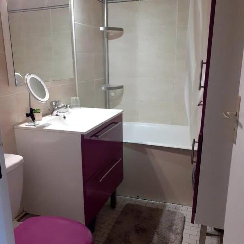 une salle de bain avec un lavabo, une douche et des toilettes dans l'établissement F1 gare saint jean, à Bordeaux