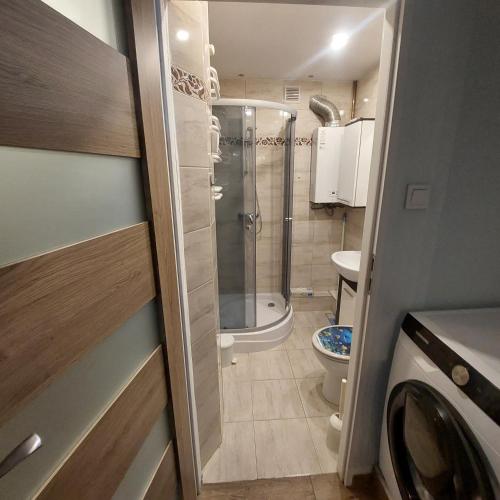 a small bathroom with a shower and a toilet at Sunstreet in Lubin