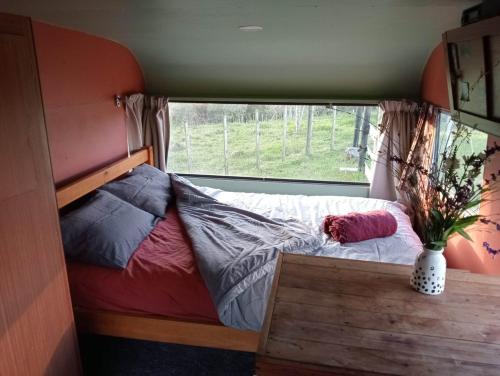 a bed in a small room with a window at Down to earth NZ in Kerikeri