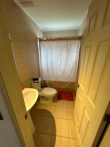 a small bathroom with a toilet and a sink at Acogedora Casa con Tinaja y Jacuzzi y RENT A CAR in Puerto Varas