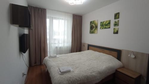 a bedroom with a bed and a television and a window at VIP Apartment Belvedere Club in Bansko
