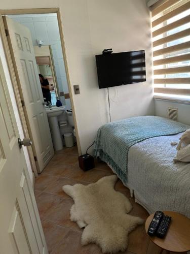 a bedroom with a bed and a rug on the floor at Acogedora Casa con Tinaja y Jacuzzi y RENT A CAR in Puerto Varas