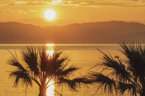 a sunset over the water with a palm tree at Domes Miramare, a Luxury Collection Resort, Corfu - Adults Only in Moraitika