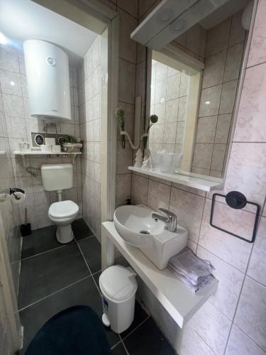 a bathroom with a sink and a toilet and a mirror at Apartman Banja Luka CITY in Banja Luka