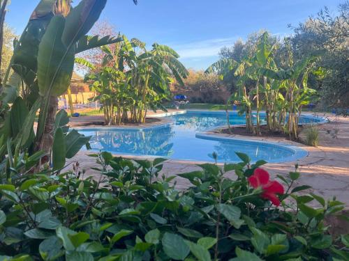 a swimming pool in a park with trees at Le Domaine de Carole Marrakech in Akkara