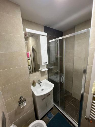 a bathroom with a sink and a shower and a toilet at Paulina Apartments in Čačak