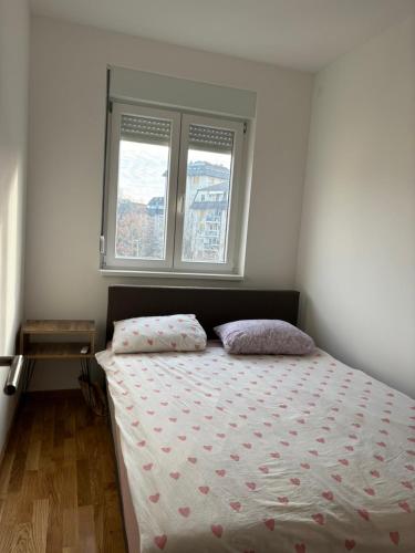 een slaapkamer met een bed met 2 kussens en een raam bij Paulina Apartments in Čačak