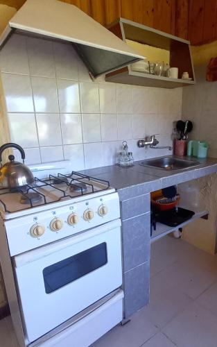 a kitchen with a white stove and a sink at Departamento Anita in El Hoyo
