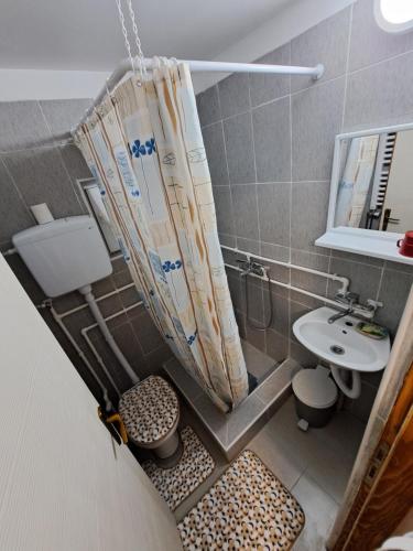 Koupelna v ubytování STD "Vila Bor" Stara planina