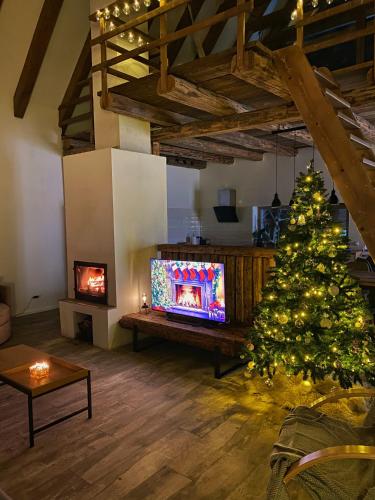 a living room with a christmas tree and a television at Scrind 11 - Madleine Chalet in Cluj-Napoca