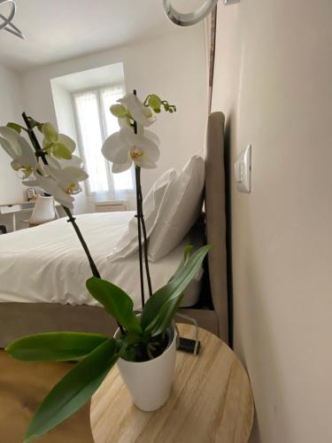 a plant sitting on a table next to a bed at Belltower Elegans Guest House in Rome