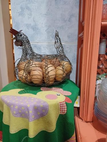 un pollo sentado sobre una mesa en Rio National Park H&C, en Río de Janeiro