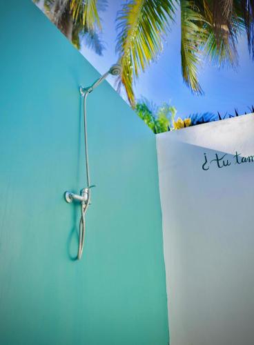 a shower in a room with a palm tree at PUNTA POPY BOUTIQUE HOTEL - Adults Only in Las Terrenas