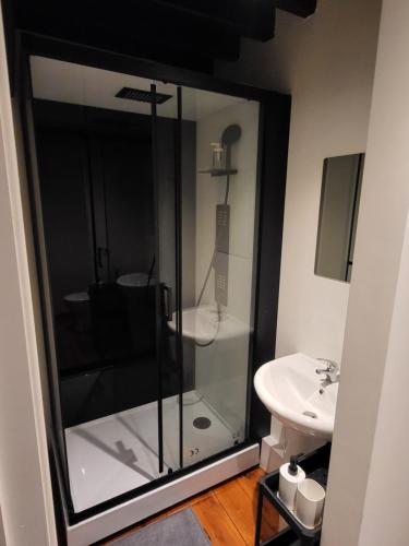 W łazience znajduje się szklana kabina prysznicowa i umywalka. w obiekcie Viktoria HOSTEL w Antwerpii