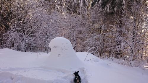 a cat sitting in front of a snow man at Pension Landhaus Koller - Adults only in Bodenmais