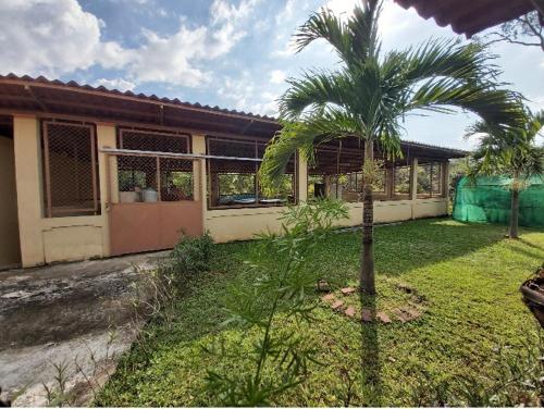 Quinta Alfa – Photos 5
