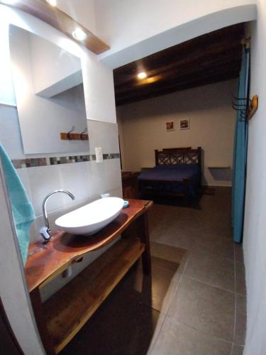 baño con lavabo y 1 cama en una habitación en El Coiron en Colonia Las Rosas