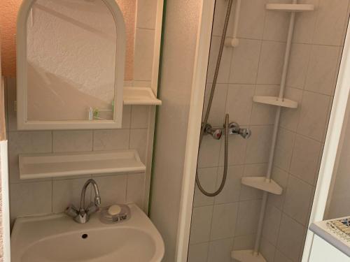 une petite salle de bain avec un lavabo et une douche dans l'établissement Coquet Appartement T2, Balcon Sud, Parking Privé, 400m de la Plage - Fort-Mahon-Plage - FR-1-482-135, à Fort-Mahon-Plage