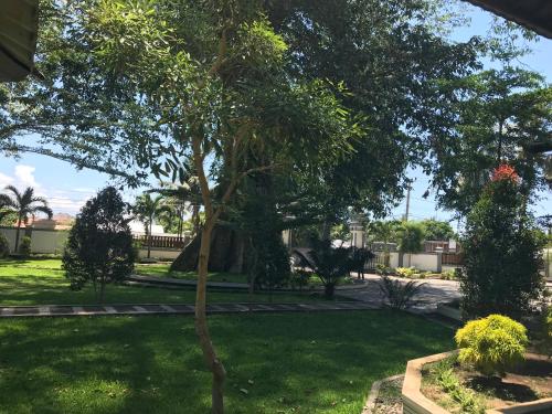 a tree in the middle of a yard at Pohon Purba Resort & Restaurant in Labuan Lombok