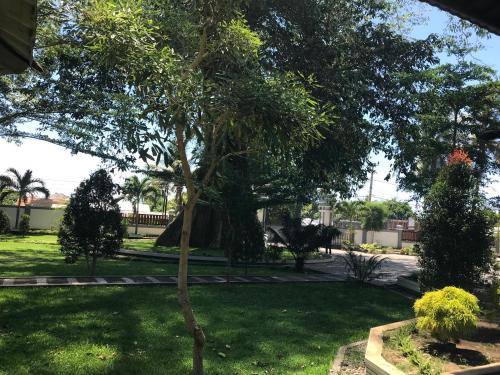 a tree in the middle of a yard at Pohon Purba Resort & Restaurant in Labuan Lombok