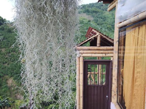 Природа в окрестностях шале