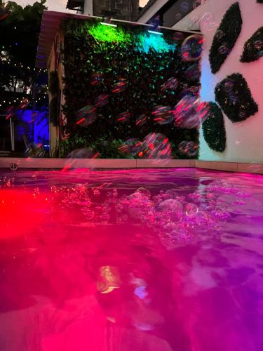 a pool of pink water with a wall of plants at CasaLu in Puntarenas