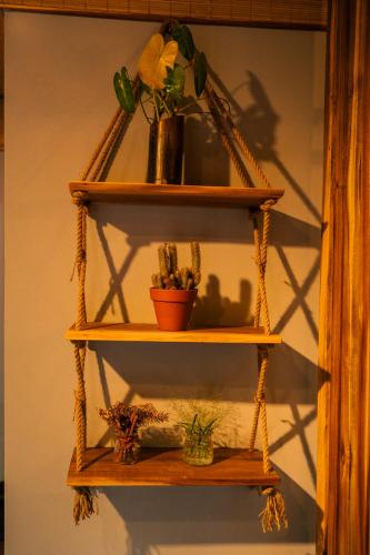 a shelf with cactuses and potted plants on it at TỊNH Retreat Phu Quoc in Phu Quoc