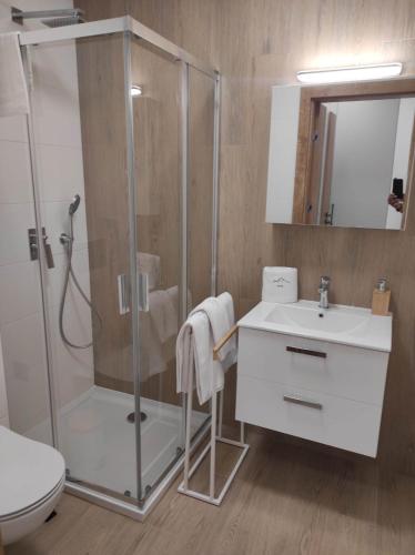 a bathroom with a shower and a sink and a toilet at Apartament 7 SzklarSki in Szklarska Poręba