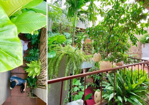 two pictures of a garden with trees and plants at 5-homestay I in Vung Tau