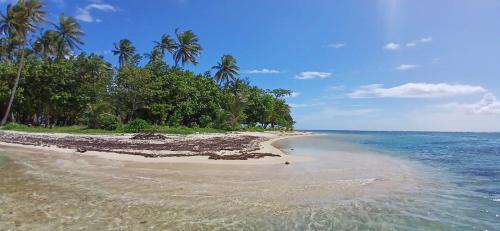 an empty beach with palm trees and the ocean at Fare Mirimiri in Uturoa
