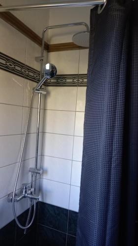 y baño con ducha y cortina de ducha. en Meteora best view villa, en Kalambaka