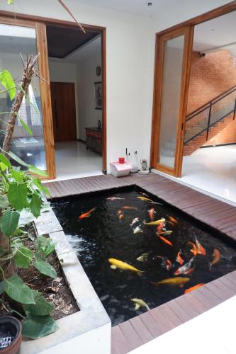 a koi pond in the middle of a house at Bromo Venture in Probolinggo