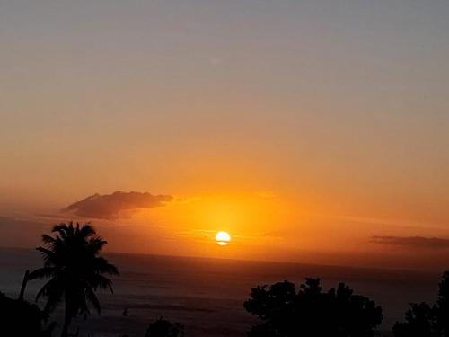 einen Sonnenuntergang über dem Meer mit einer Palme in der Unterkunft Sous-les-tropiques in Vieux-Habitants