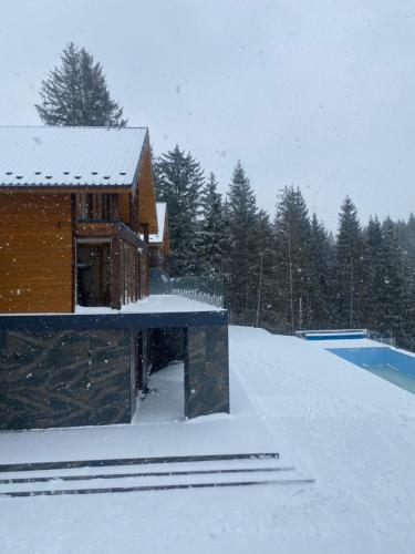 a house in the snow with a pool at SevenHills chalet in Yablunytsya