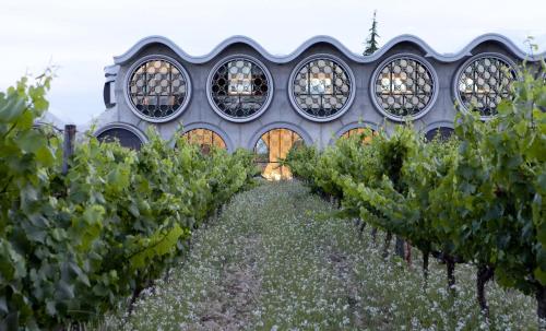 Zahrada ubytování Mastinell Cava & Boutique Hotel by Olivia Hotels Collection