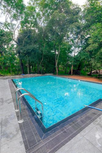a large swimming pool with blue water and trees at Wildescape Polonnaruwa in Polonnaruwa