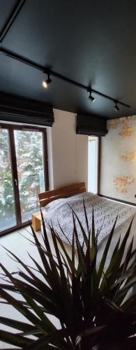 une chambre avec un lit et une plante en pot dans l'établissement Design Vistula old town apartment free parking, à Cracovie