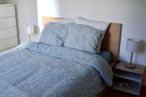 um quarto com uma cama com um cobertor azul e almofadas em Apartment in Ferney close to Geneva United Nations em Ferney-Voltaire